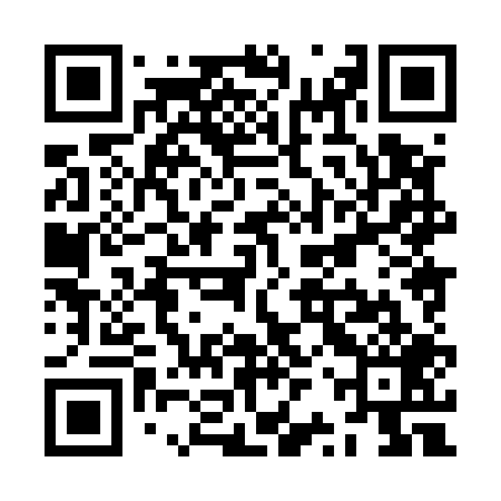 QR code for ZRX509