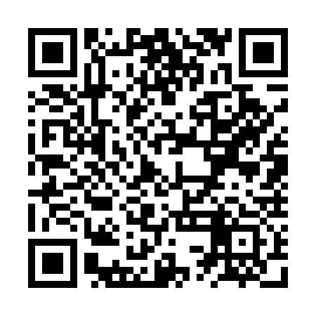 QR code for ZSG533