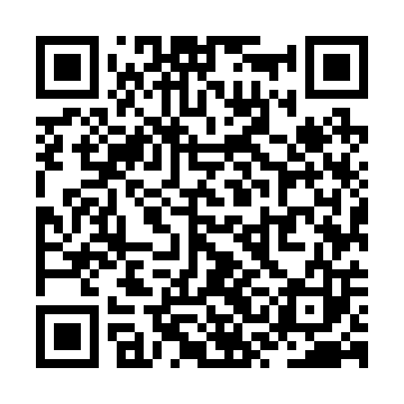 QR code for ZSM203
