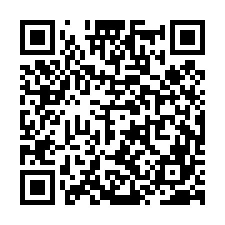 QR code for ZSPD66