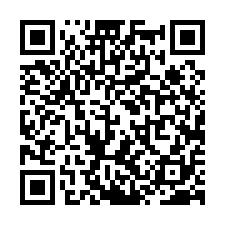 QR code for ZST110