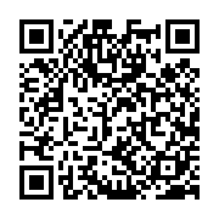 QR code for ZST401