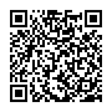 QR code for ZSVL31