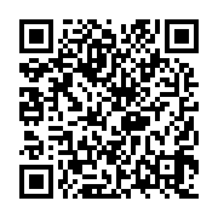 QR code for ZTB919