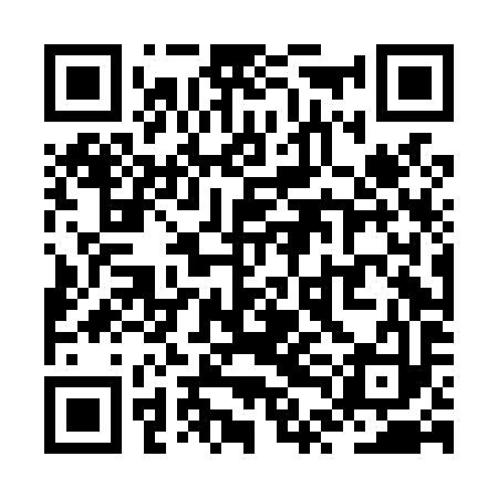 QR code for ZTDL93