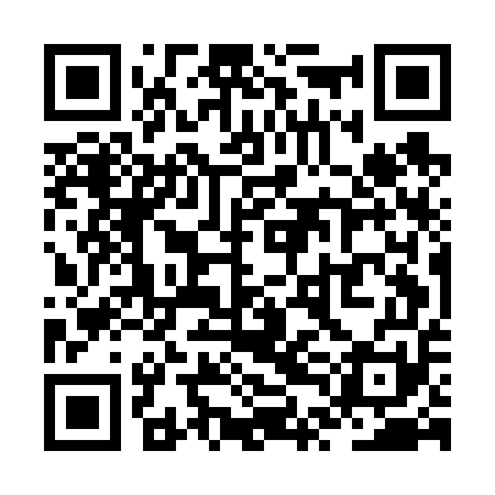 QR code for ZTEF51