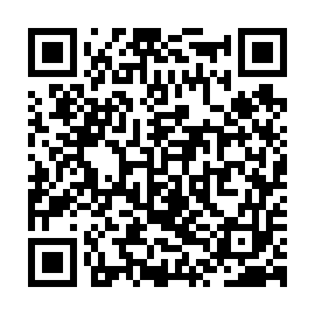QR code for ZTG653
