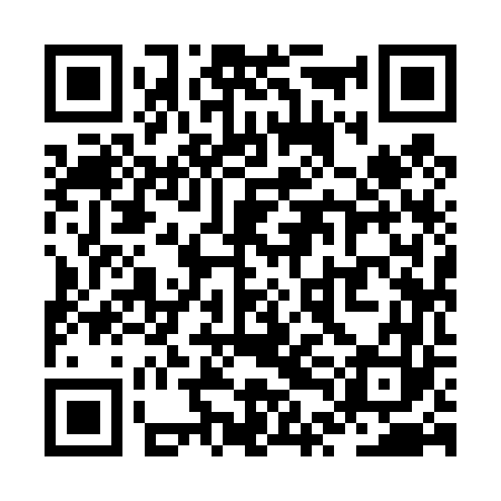 QR code for ZTI463