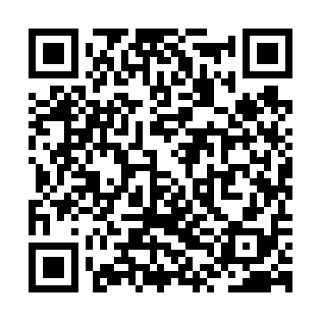 QR code for ZTI618