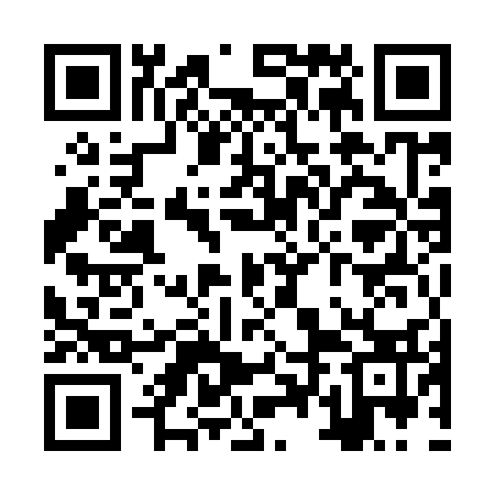QR code for ZTM933