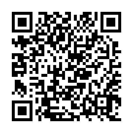 QR code for ZTOR46