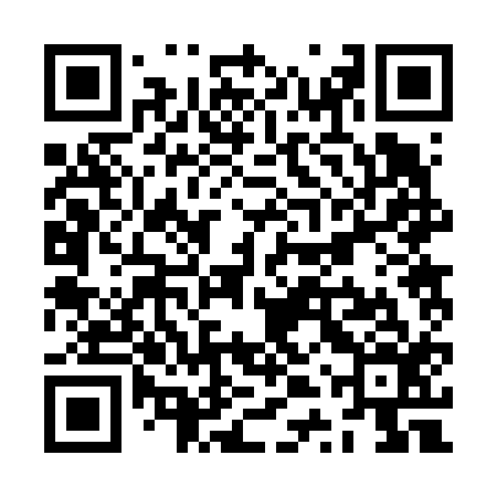 QR code for ZTR616