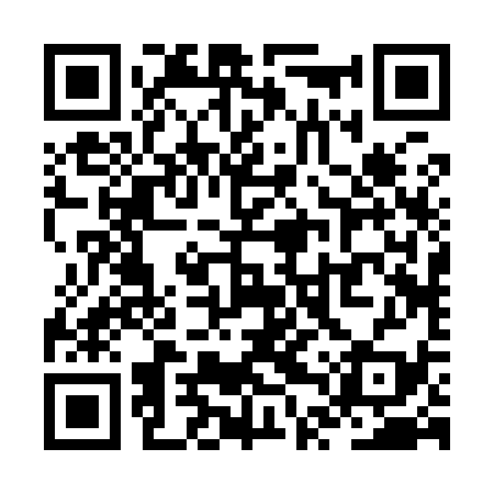 QR code for ZTR939