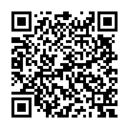 QR code for ZTRN11