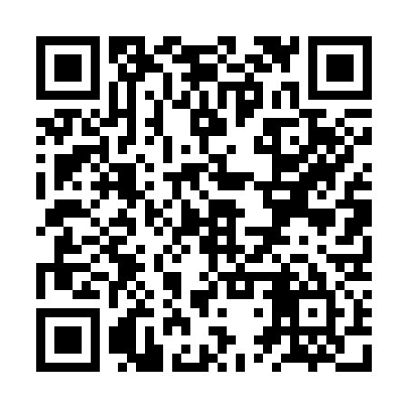QR code for ZTT335