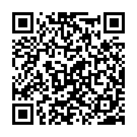 QR code for ZTTZ95