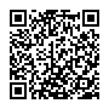 QR code for ZUN338