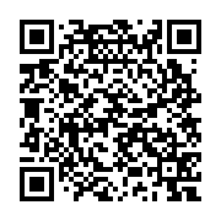 QR code for ZUR375