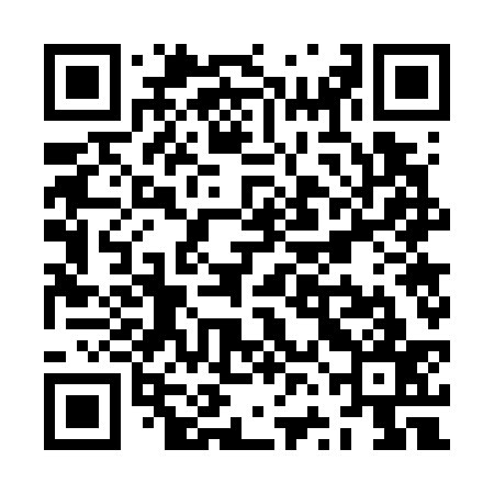 QR code for ZVG737