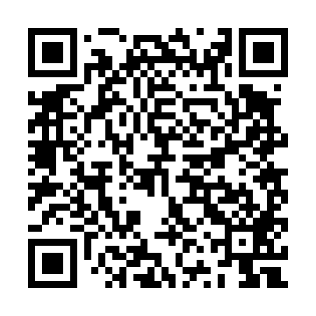 QR code for ZVR489