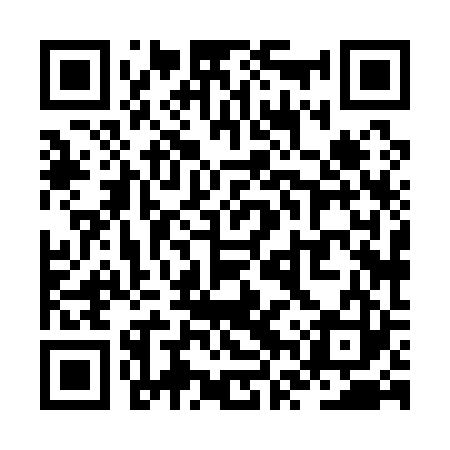 QR code for ZVX123