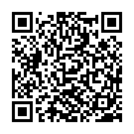 QR code for ZVX161