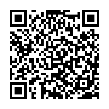QR code for ZVX291
