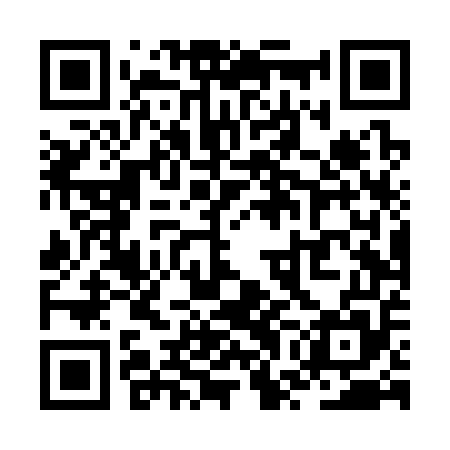 QR code for ZWDS55