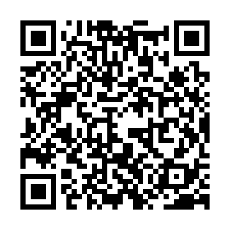 QR code for ZWIS38