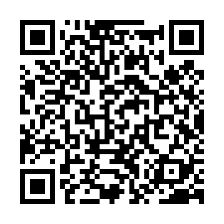 QR code for ZWVT29