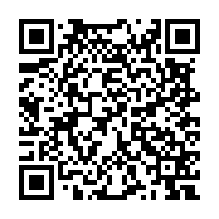 QR code for ZXBM61