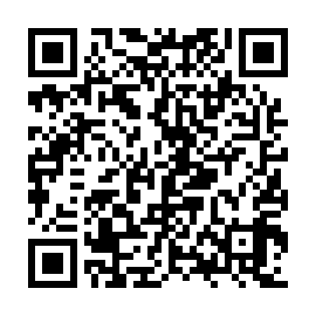 QR code for ZXF119