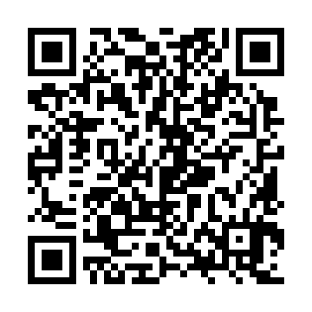 QR code for ZXM384