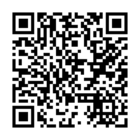 QR code for ZXM917