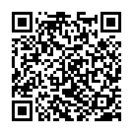 QR code for ZXN809