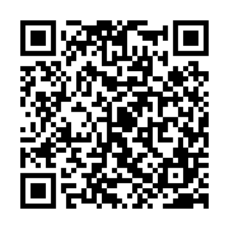 QR code for ZXU206
