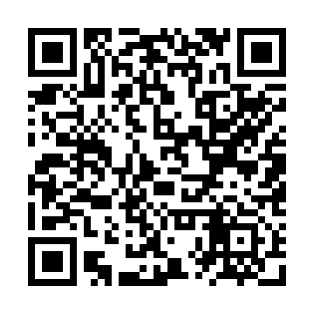 QR code for ZXU213
