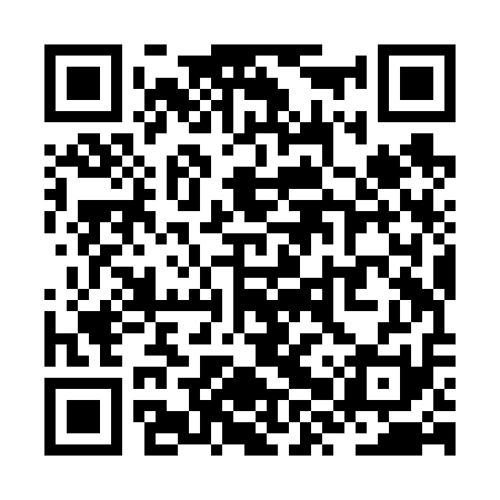 QR code for ZXZV11
