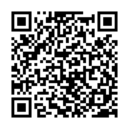 QR code for ZYBL55