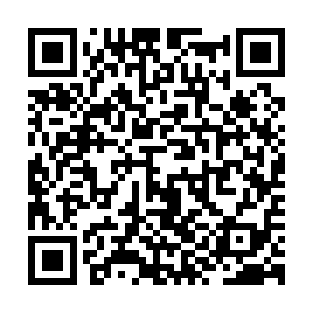 QR code for ZYC119