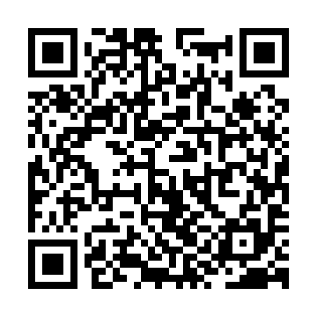 QR code for ZYE195