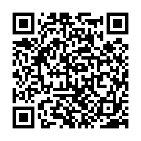 QR code for ZYE533