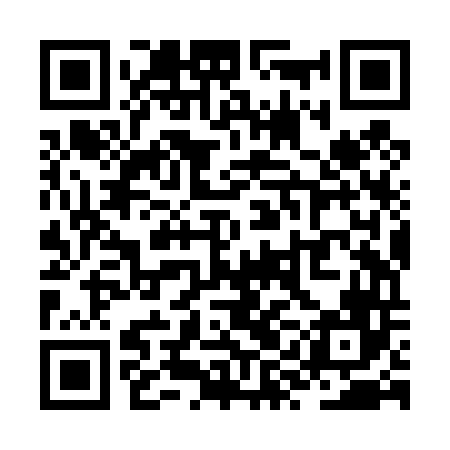 QR code for ZYJT46