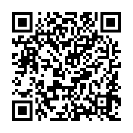 QR code for ZYL199