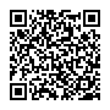 QR code for ZYL375