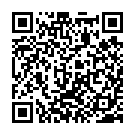 QR code for ZYQ691