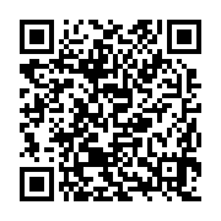QR code for ZYR295