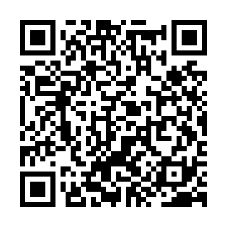 QR code for ZYSN31