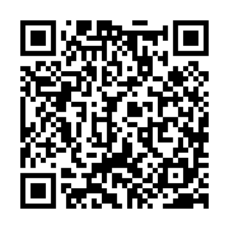 QR code for ZYX095