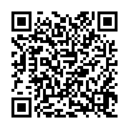 QR code for ZYYE46
